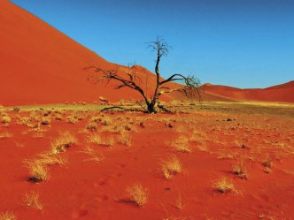 Velký okruh Namibií